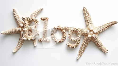 Image of The word Blog created in Starfish Shell Letters.