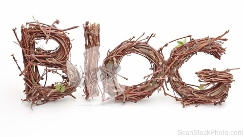 Image of The word Blog created in Willow Twig Letters.