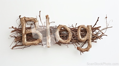 Image of The word Blog created in Willow Twig Letters.