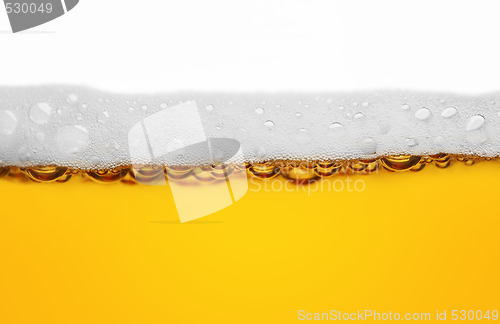 Image of beer