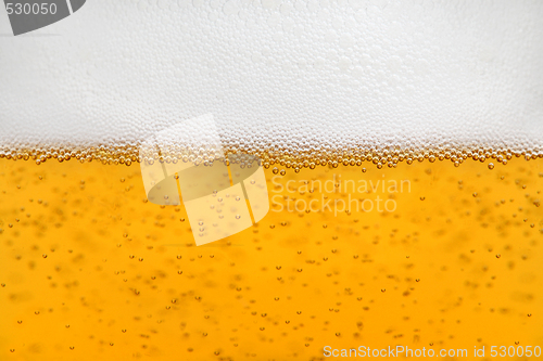 Image of beer