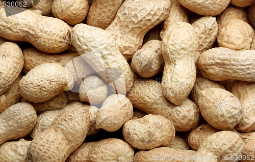 Image of Peanuts