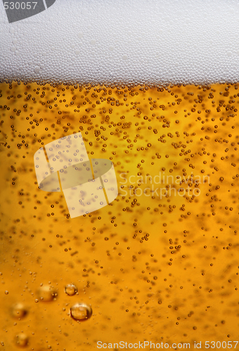 Image of beer