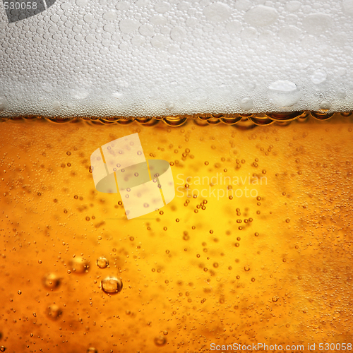 Image of beer