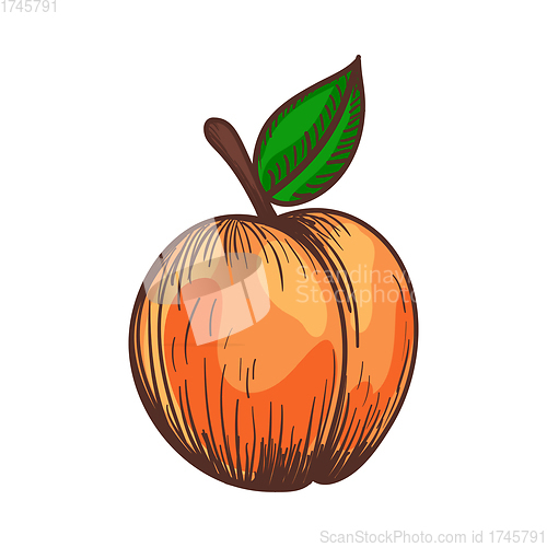 Image of Icon Of Peach