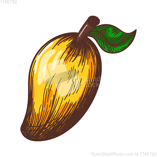 Image of Icon Of Mango