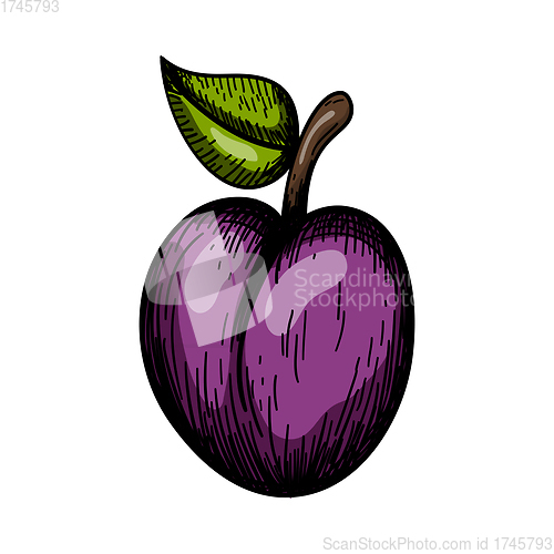 Image of Icon Of Plum