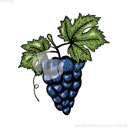 Image of Icon Of Grape