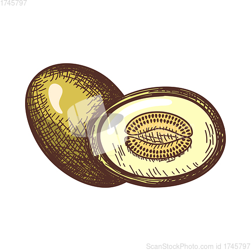 Image of Icon Of Melon
