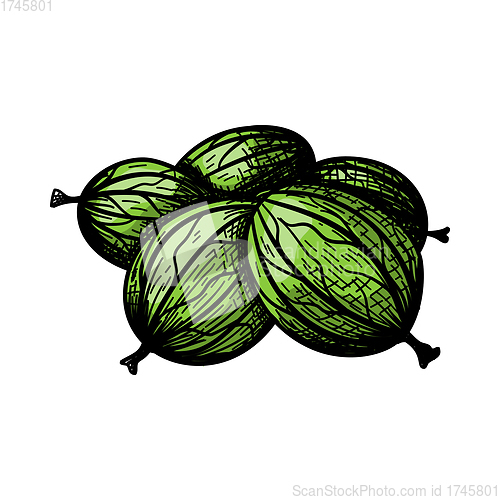 Image of Icon Of Gooseberry