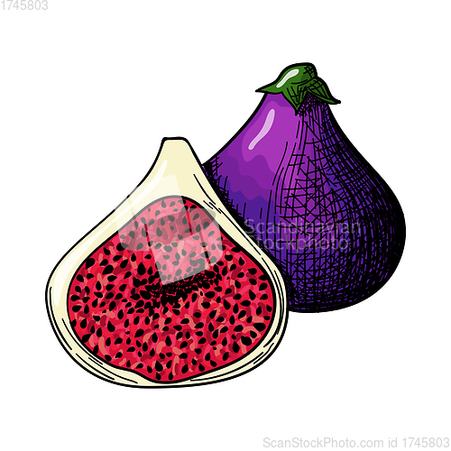 Image of Icon Of Fig Fruit