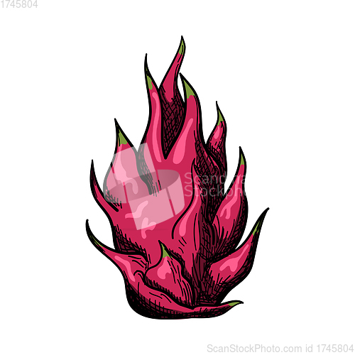 Image of Icon Of Dragon Fruit