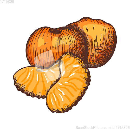Image of Icon Of Mandarin
