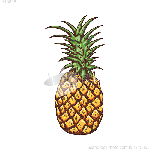 Image of Icon Of Pineapple