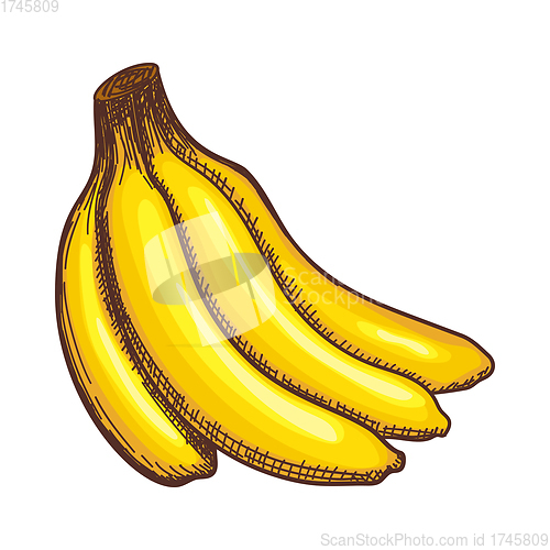 Image of Icon Of Banana
