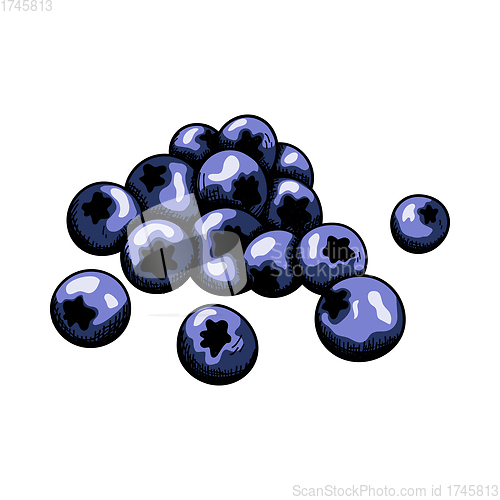 Image of Icon Of Blueberry