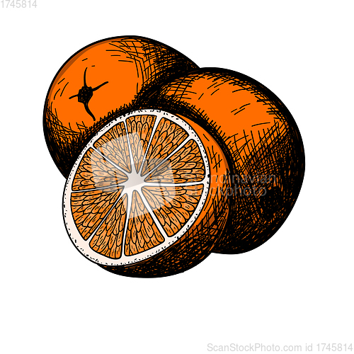 Image of Icon Of Orange