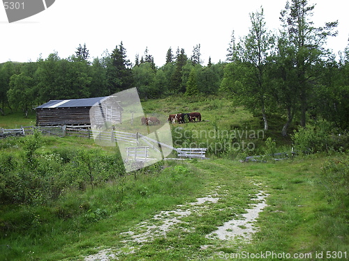 Image of Farm in the mountains