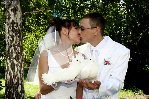 Image of Groom and bride kiss