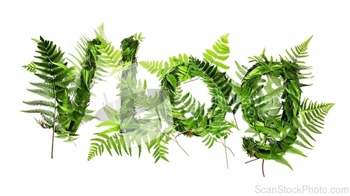 Image of The word Vlog created in Fern Leaf Letters.