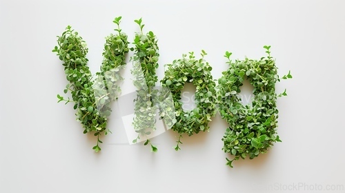 Image of The word Vlog created in Thyme Typography.