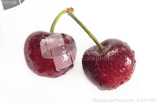 Image of Cherrys