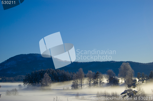 Image of Foggy winterday