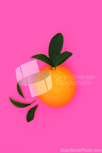 Image of Gaudy Summer Orange Citrus Fruit Design