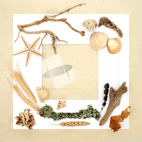 Image of Nature Study of Nature Objects Background Frame