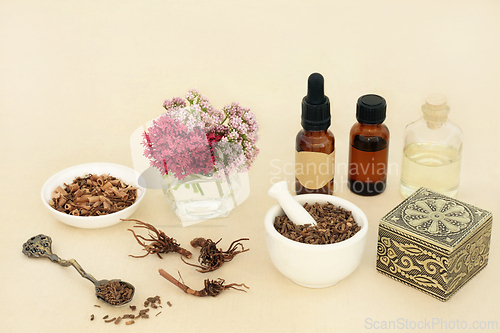 Image of Valerian Herb Root Tranquilizing Herbal Medicine 
