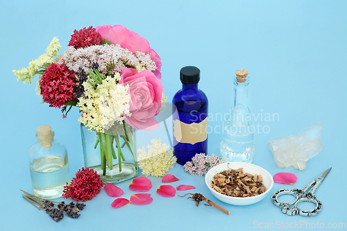 Image of Alternative Adaptogen Herbal Medicine with Herbs and Flowers 