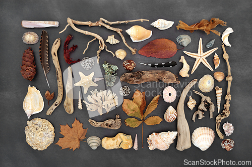 Image of Nature Study Selection of Natural Objects