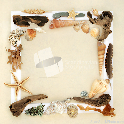 Image of Natural Collection of Nature Objects Background Border