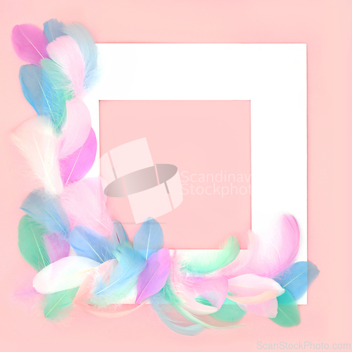 Image of Feather Abstract Beautiful Background Frame
