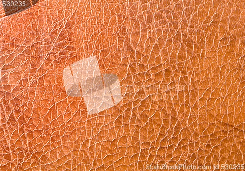 Image of Leather Texture