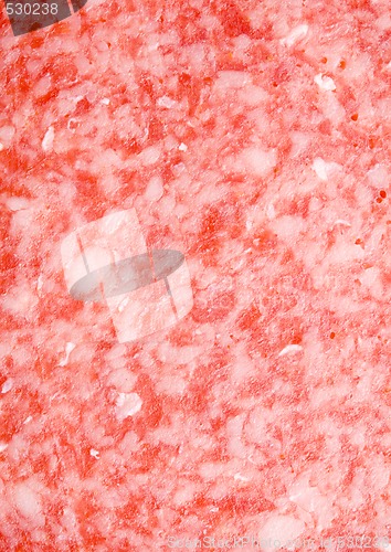 Image of Salami Texture