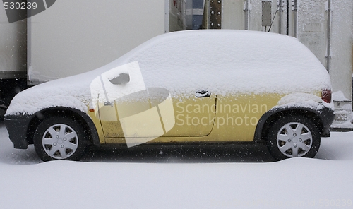 Image of Covered With Snow