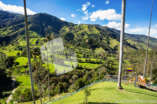 Image of Nature landscape of tall wax palm trees in Valle del Cocora Valley. Salento, Quindio department. Colombia mountains landscape.