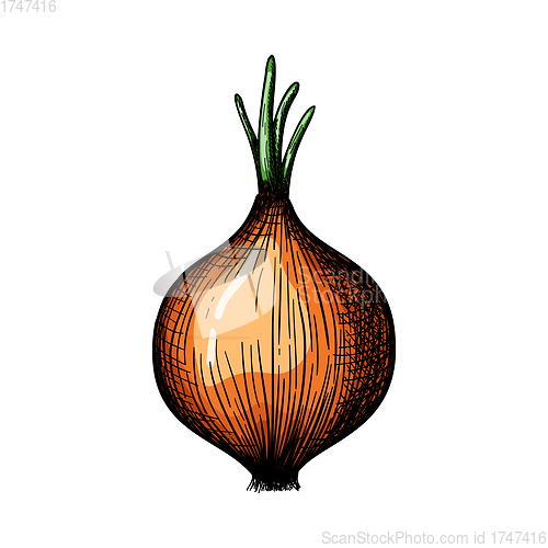 Image of Onion Icon