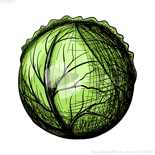Image of Cabbage Icon