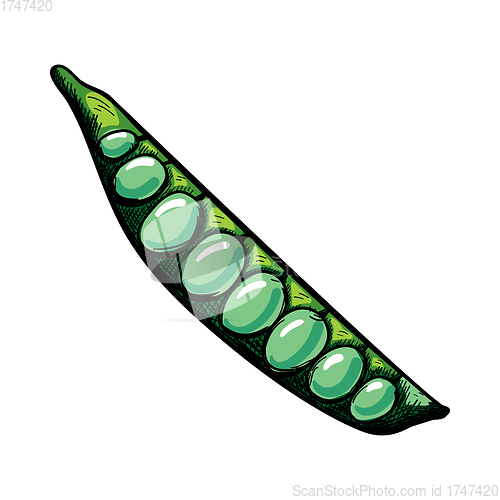 Image of Pea Icon