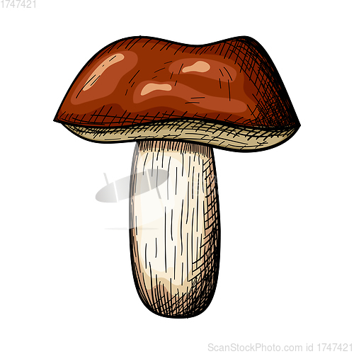 Image of Mushroom Icon