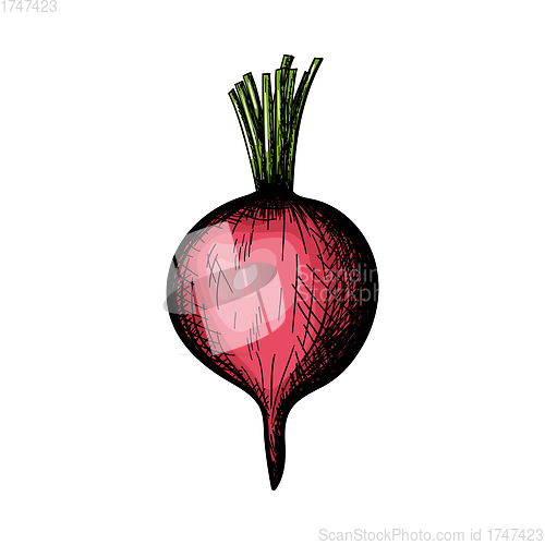 Image of Radishes Icon