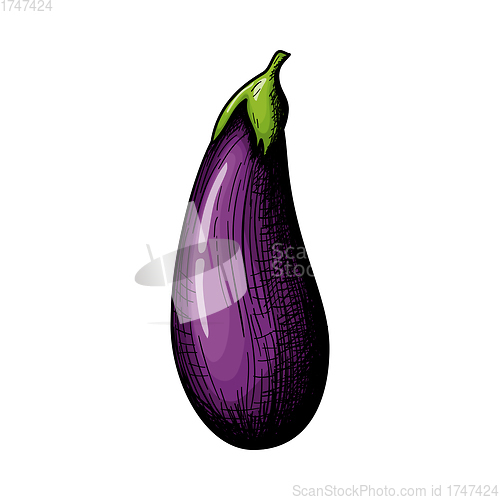 Image of Eggplant Icon