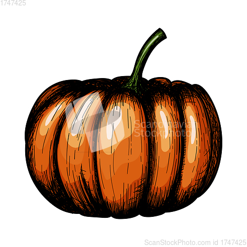 Image of Pumpkin Icon