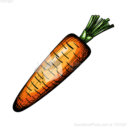Image of Carrot Icon