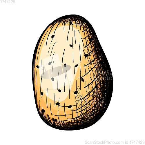 Image of Potato Icon