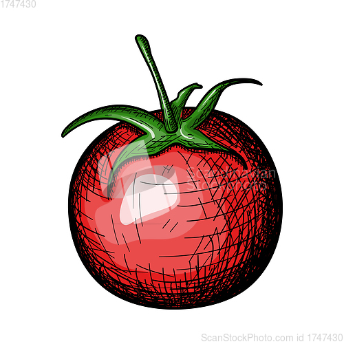 Image of Tomatoes Icon