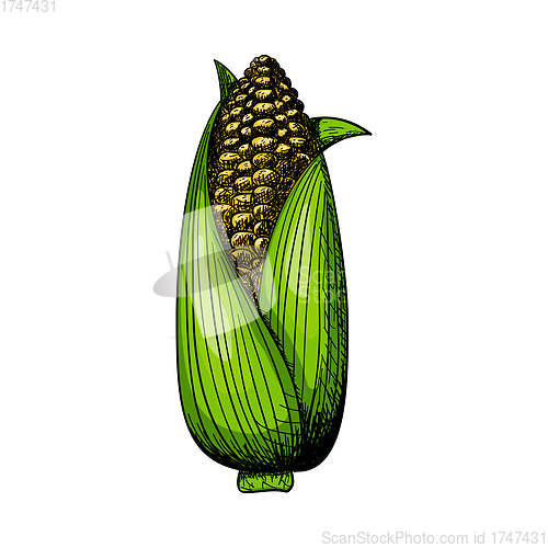 Image of Corn Icon