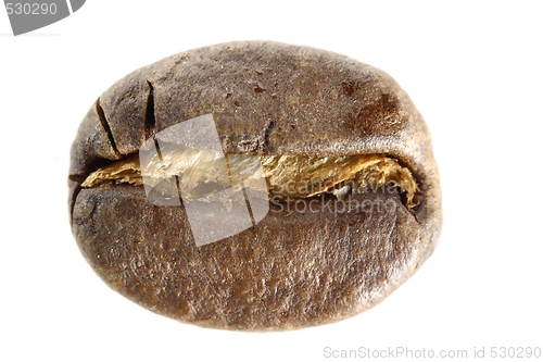 Image of Coffee Bean